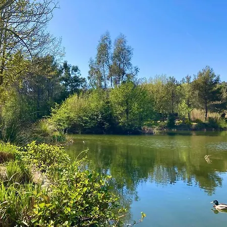 Διαμέρισμα Les Restanques Glycines 2066