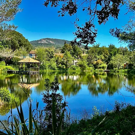 Les Restanques Glycines 2066