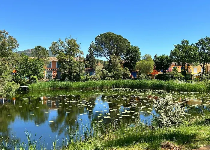 Les Restanques Glycines 2066 Daire Grimaud